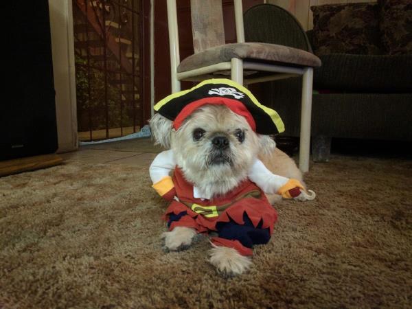 /Images/uploads/PUG NATION RESCUE OF LOS ANGELES/pugnationcalendar/entries/2571.jpg
